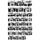 29部 Regula 相机    1950-1965年