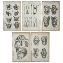 5张医学铜版画 生产和助产 约1800年