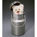 Musical Kitten in Milk Churn Automaton by Decamps, 1930s