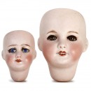 2 Bisque Doll Heads by S.F.B.J., 1920s
