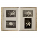 Album with approx. 41 Nude Photographs, c. 1900–30