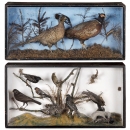 2 European Taxidermy Displays, c. 1920