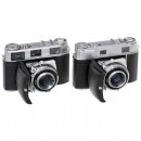 Retina IIIC and IIIc