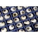 Lauscha Glass Eyes in Sample Case, c. 1900