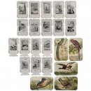 Chocolate Transformation Pictures, c. 1900