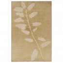 Photogenic Drawing by William Henry Fox Talbot, 1839