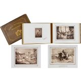 相册2本: Album Artistique et Biographique,1884年