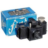 Fips-Foto (Fips), c. 1952